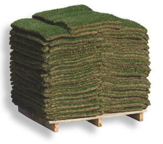Sod Pallet in Houston Texas